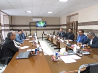 جلسه رؤسای دانشگاه ها و مراکز آموزش عالی قاین به میزبانی دانشکده پرستاری و مامایی قاین